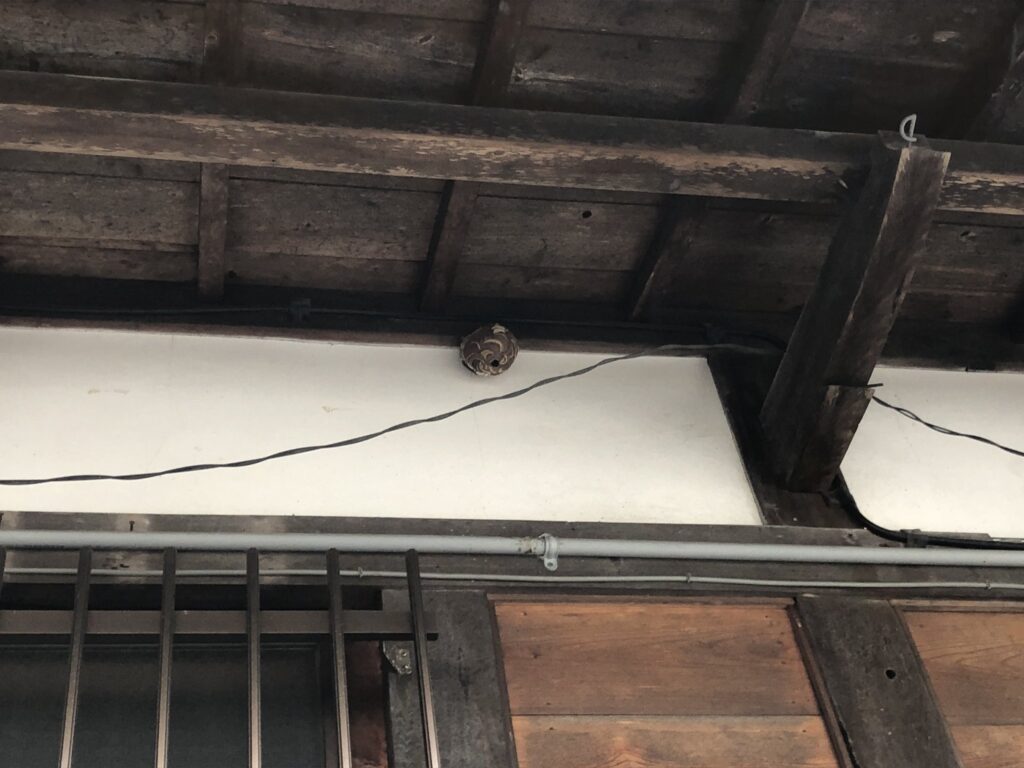 橋本警察署高野幹部交番ハチ駆除風景その2