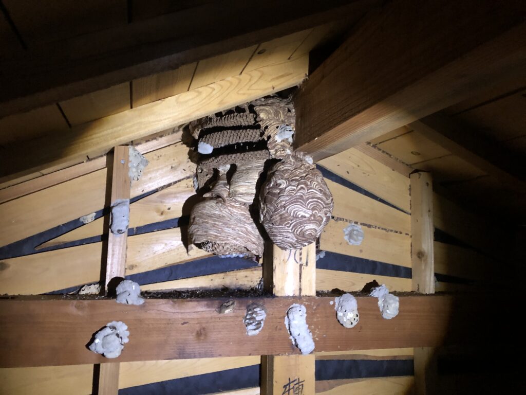 屋根裏