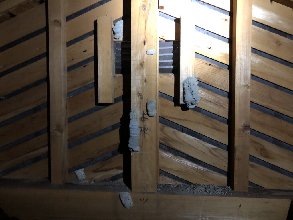 ドロバチの巣の画像