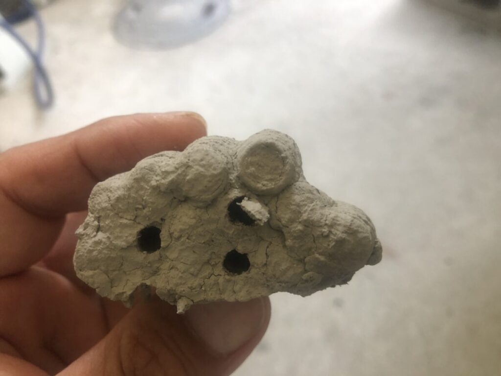 泥の蓋を破って孵化した後は穴が開く