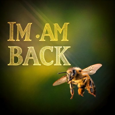 戻りバチの画像1