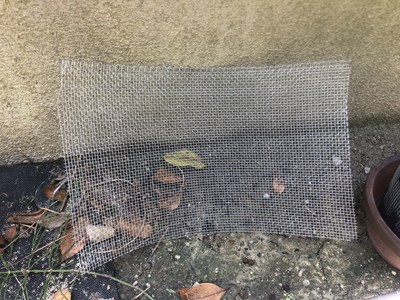 サイズに合わせてカット
