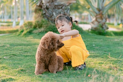 子供とペットの画像