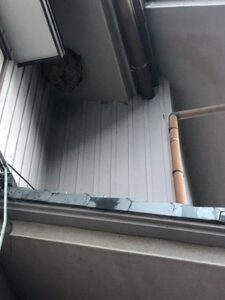 軒下のスズメバチの巣