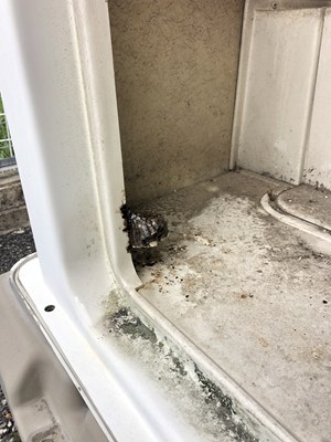 仮設トイレのハチの巣