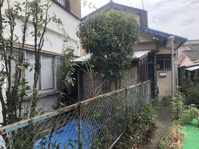 草刈り後、風通しがよくなる