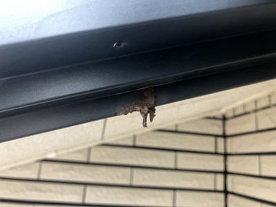 軒下のスズメバチの巣跡