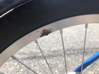 ホイールの巣(駆除前)