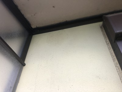 奇麗に掃除して跡形もなくなった巣跡