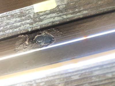 出入り口をシリコンで塞ぐ