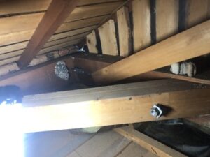 屋根裏ドロバチの巣1