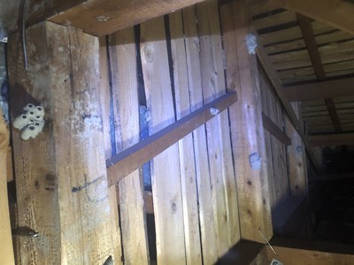 至る所にドロバチの巣