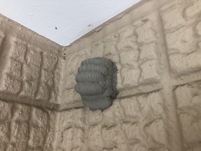 ドロバチの巣