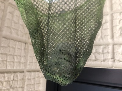 巣を駆除