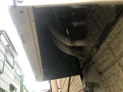 給湯器内部はアシナガバチの格好の営巣場所だ