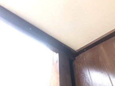 巣跡を清掃、忌避剤散布後