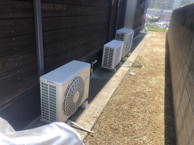 他にも裏の室外機の中からアシナガバチが出入りしているのが確認された