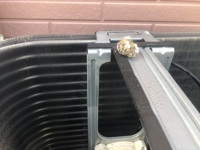 室外機の中に営巣してたハチの巣