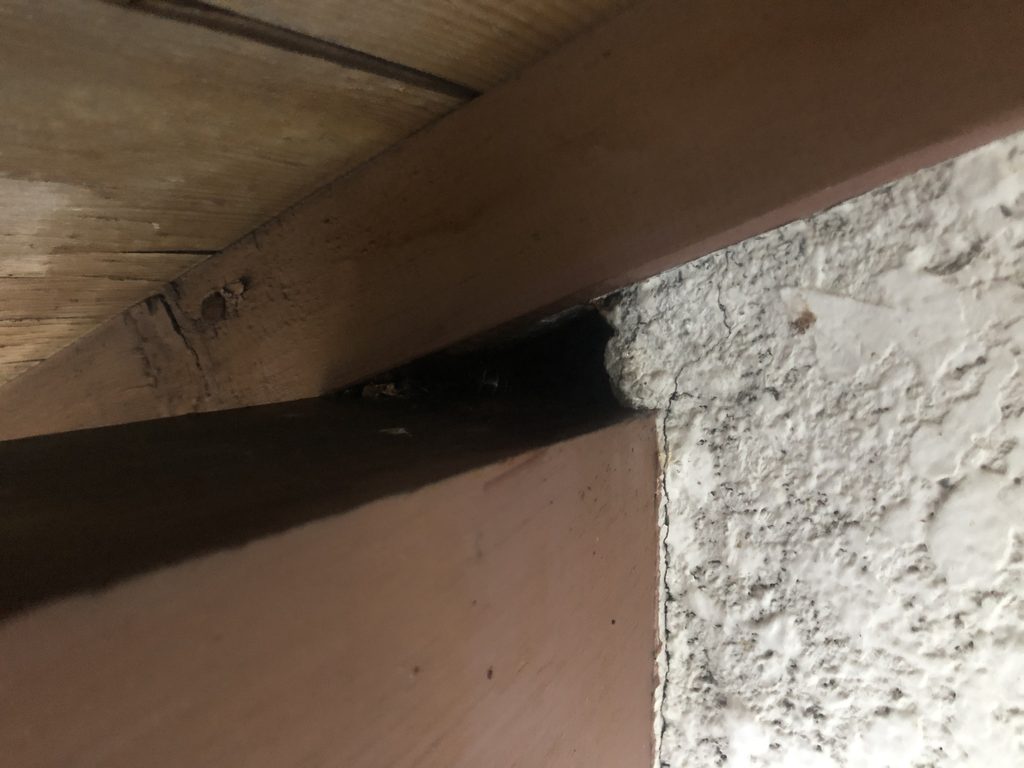 軒下のわずかな隙間が屋根裏に侵入する出入り口の画像