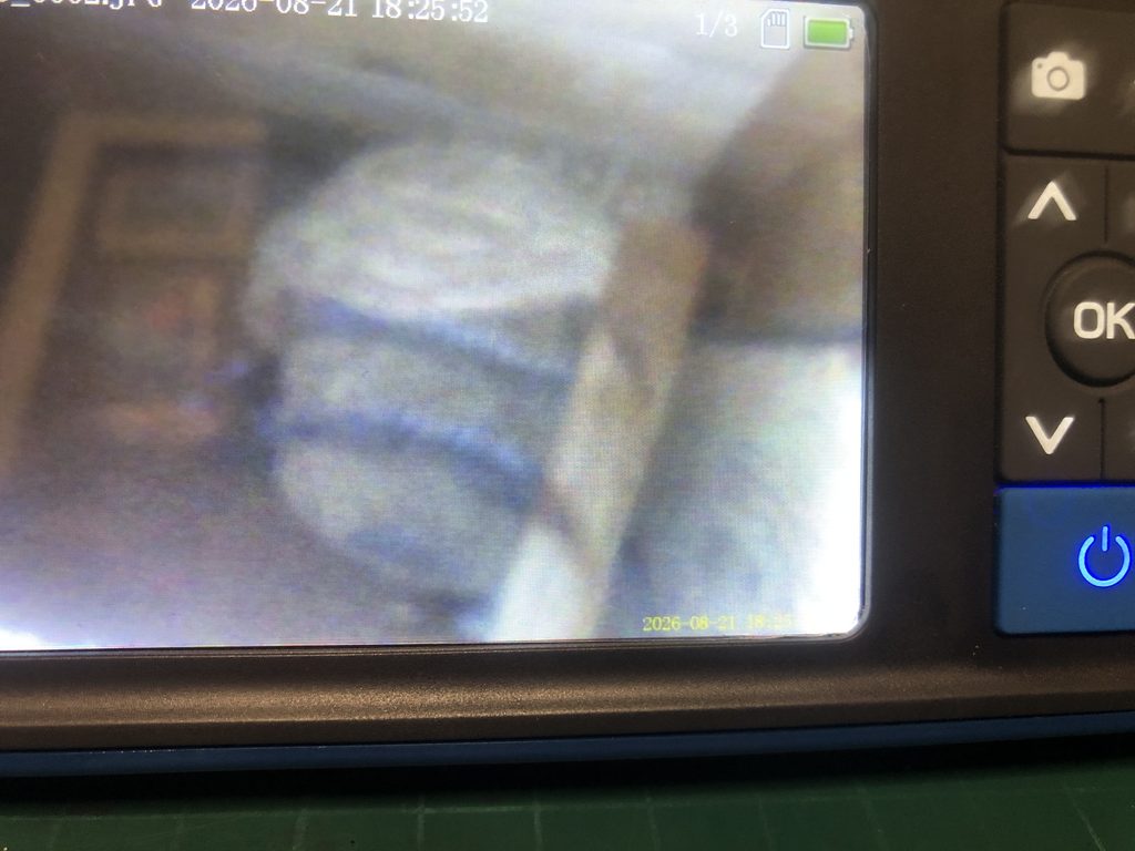 ファイバースコープのモニターに映し出されたモンスズメバチの巣の画像