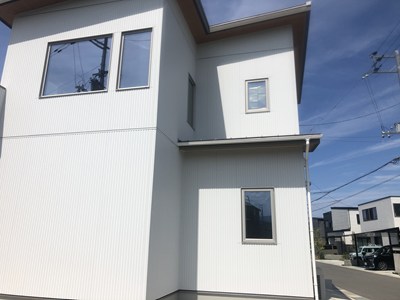 アシナガバチに営巣された新築一戸建ての画像