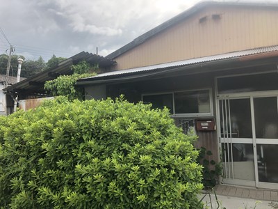 営巣された波板の庇、手前には伸び放題の垣根が見える画像