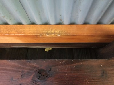 駆除後、巣跡を清掃した画像