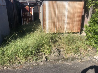 草刈り前の画像①