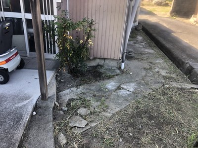 草刈り後の画像